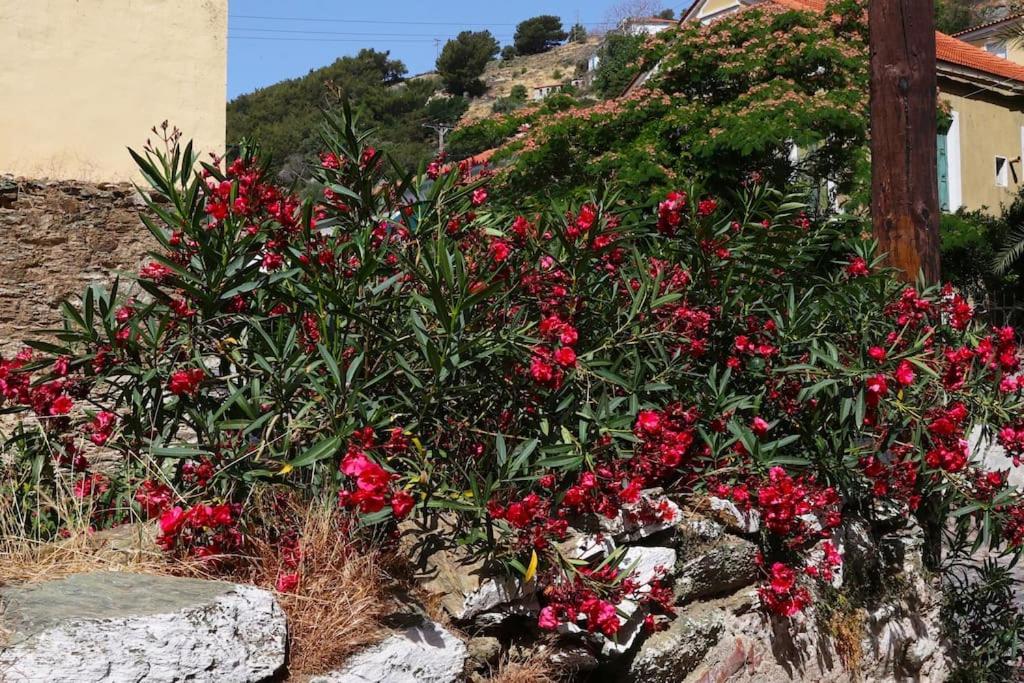 Titinas' Villa Plomari Dış mekan fotoğraf